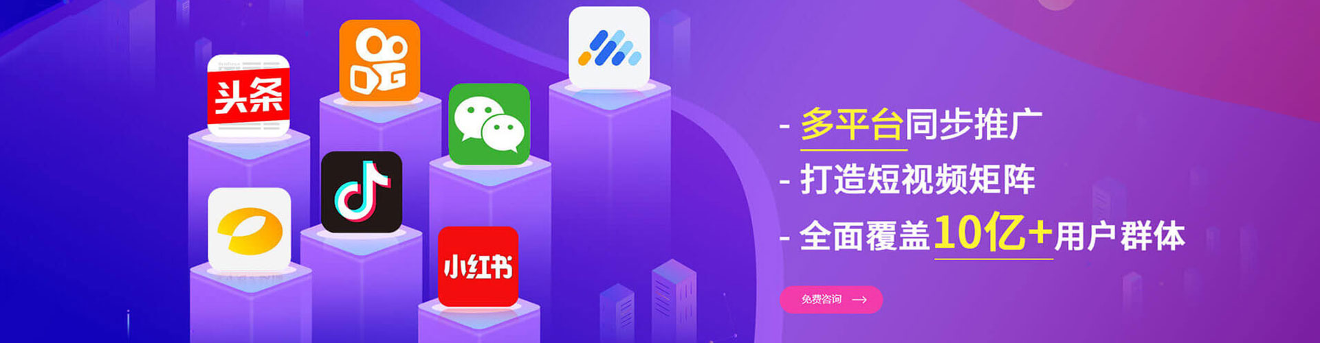 金凤百度竞价